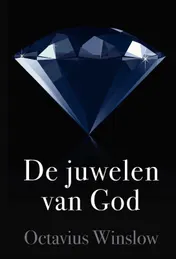Omslag van De juwelen van God