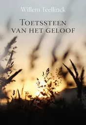 Omslag van Toetssteen van het geloof