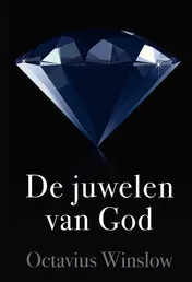 Omslag van De juwelen van God