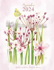 Omslag van Mattie agenda 2024