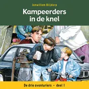 Omslag van Kampeerders in de knel