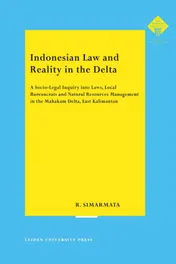 Omslag van Indonesian law and reality in the delta