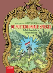 Omslag van De postkoloniale spiegel
