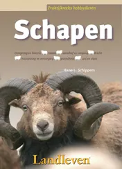 Omslag van Schapen