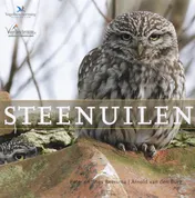 Omslag van Steenuilen