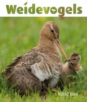 Omslag van Weidevogels