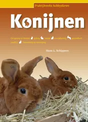 Omslag van Konijnen