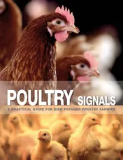 Omslag van Poultry signals