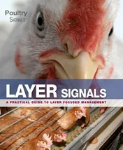 Omslag van Layer Signals