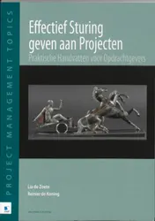 Omslag van Effectief sturing geven aan projecten