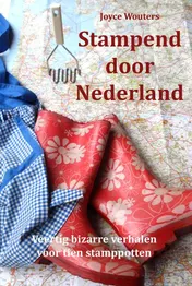 Omslag van Stampend door Nederland