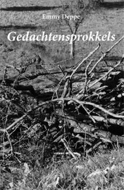 Omslag van Gedachtensprokkels