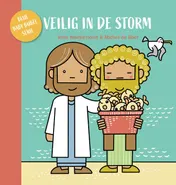 Omslag van Veilig in de storm