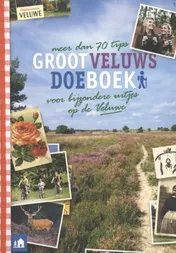 Omslag van Groot Veluws doeboek