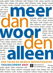 Omslag van Meer dan woorden alleen