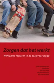 Omslag van Zorgen dat het werkt