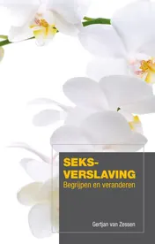 Omslag van Seksverslaving