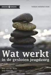 Omslag van Wat werkt