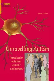 Omslag van Unravelling autism