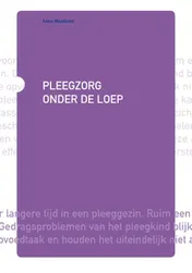 Omslag van Pleegzorg onder de loep