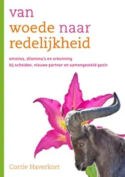 Omslag van Van woede naar redelijkheid