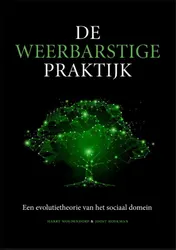 Omslag van De weerbarstige praktijk