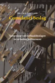 Omslag van Cumulatief beslag