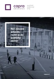 Omslag van Het nieuwe arbeidsrecht in de publieke sector