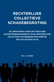 Omslag van Rechterlijke collectieve schadebegroting