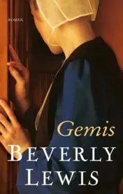 Omslag van Gemis