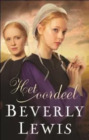 Omslag van Het oordel