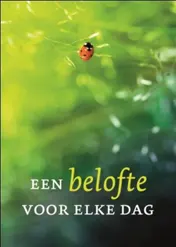Omslag van Een belofte voor elke dag