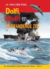 Omslag van Dolfi, Wolfi en de brandende zee