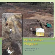 Omslag van Prins onder plaggen