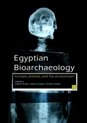 Omslag van Egyptian bioarchaeology