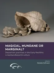 Omslag van Magical, mundane or marginal?