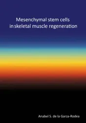 Omslag van Mesenchymal stem cells in skeletal muscle regeneration