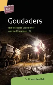 Omslag van Goudaders