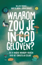 Omslag van Waarom zou je in God geloven....?