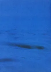 Omslag van Ultramarine / Doride