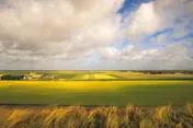 Omslag van Land van Martin Kers, afbeelding: graanveld