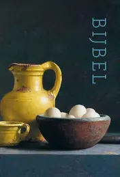 Omslag van Bijbel NBV