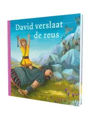 Omslag van David verslaat de reus