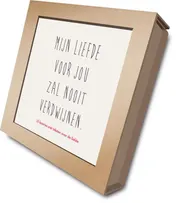 Omslag van De liefde zal nooit verdwijnen
