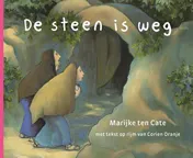 Omslag van De steen is weg