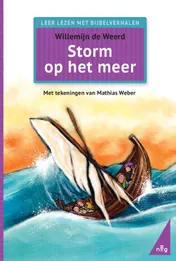 Omslag van Storm op het meer