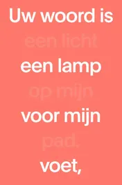 Omslag van NBV21 Midsize Paperback