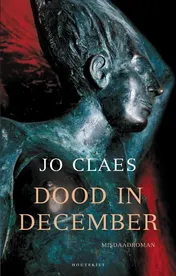 Omslag van Dood in december