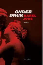 Omslag van Onder druk