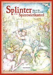 Omslag van Splinter